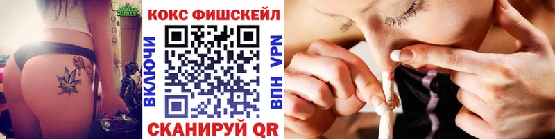Купить закладки  Дмитров  COCAIN VHQ 