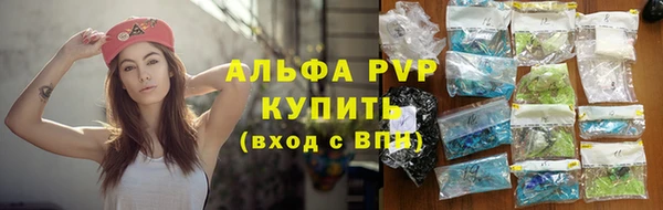 хмурый Бородино