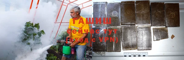хмурый Бородино