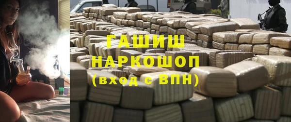 хмурый Бородино