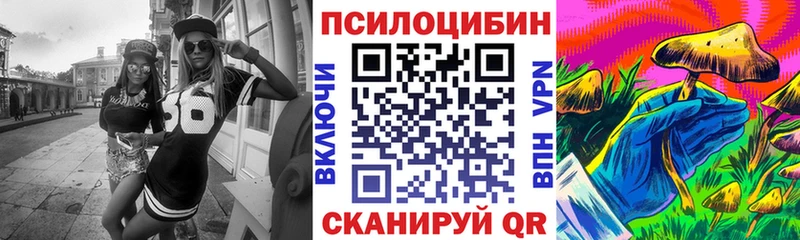 Купить где  Дмитров  Галлюциногенные грибы Magic Shrooms 